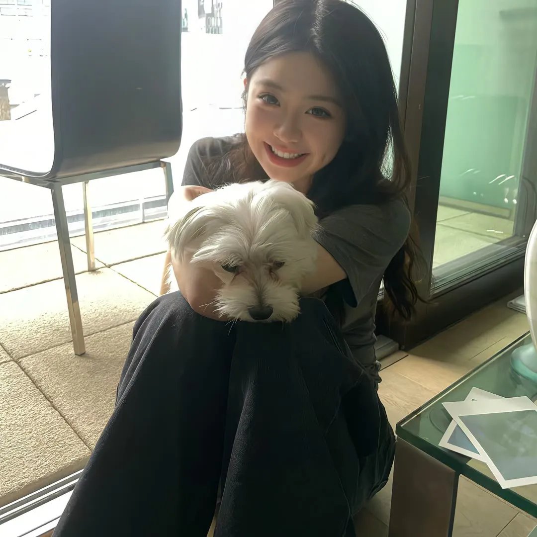 犬心犬意